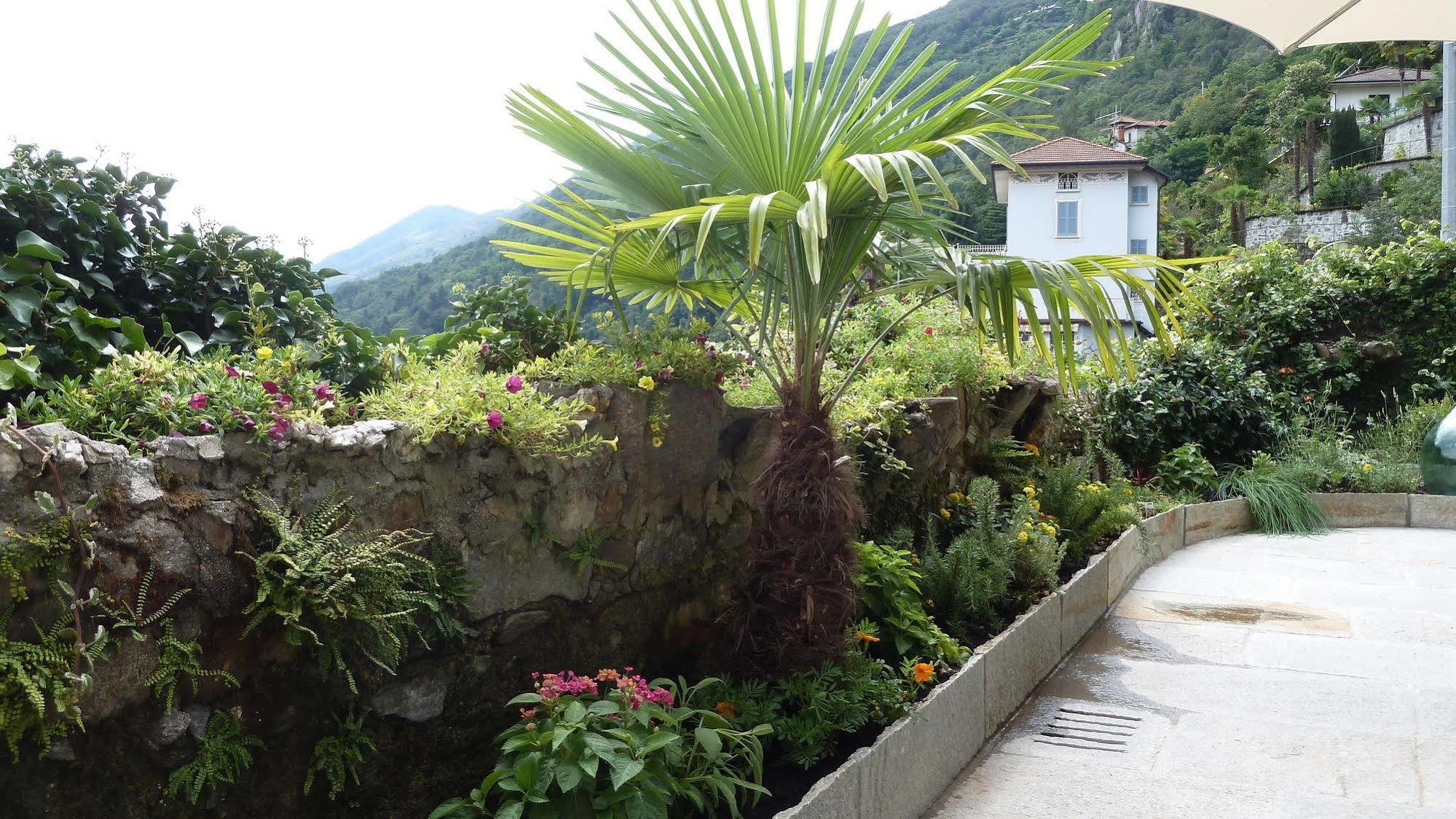 B&B Casa Forster Cannero Riviera Exterior foto